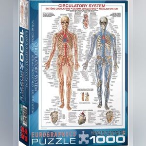 Puzzle by Eurographics - New Circulatory System 1,000 piece. 48.88cm x 67.63cm